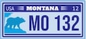 Montana License Plate Lookup Example